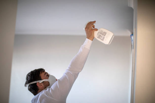 Best Attic Mold Removal  in Parker, AZ