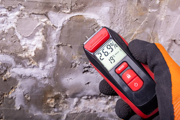 Best Same-Day Mold Removal  in Parker, AZ
