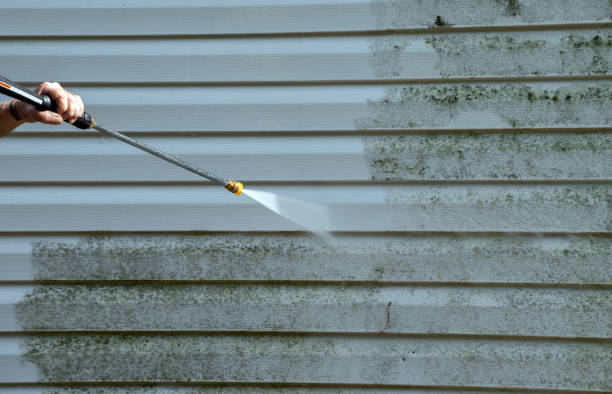 Best Commercial Mold Removal  in Parker, AZ