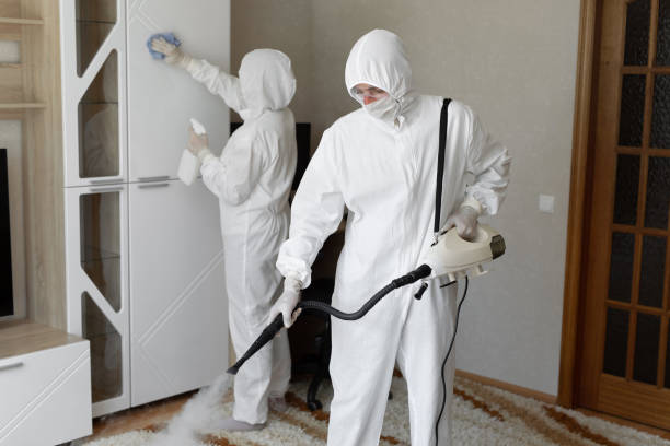 Best Local Mold Removal Service  in Parker, AZ