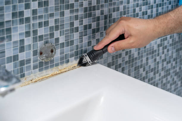 Best Best Mold Removal Companies  in Parker, AZ