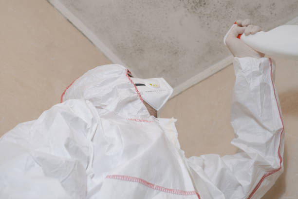 Best Toxic Mold Removal  in Parker, AZ