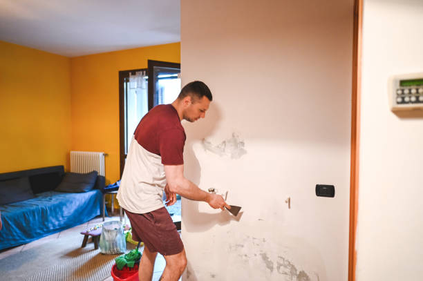 Best Black Mold Removal  in Parker, AZ