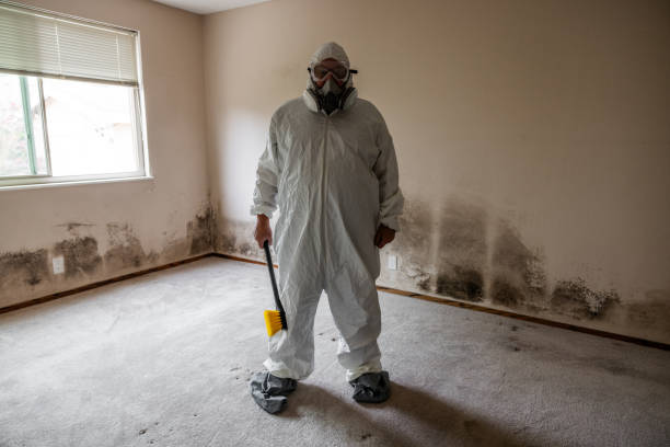 Best Affordable Mold Removal  in Parker, AZ